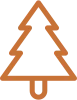 fir tree icon